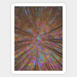 Natural Energy Sticker